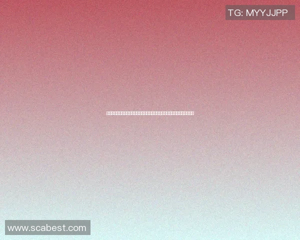 篮球明星命名大全探索与解读让我们一起认识那些闪耀的篮球传奇与他们的故事