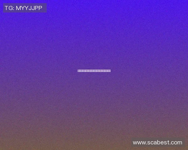 篮球明星水框的传奇故事与背后的奋斗历程揭秘